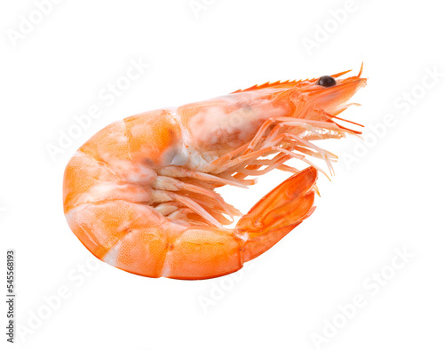 Cooked shrimps isolated on transparent png