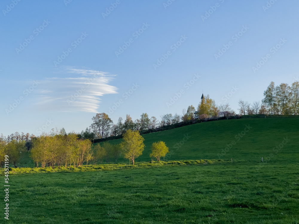 spring meadow in the evening