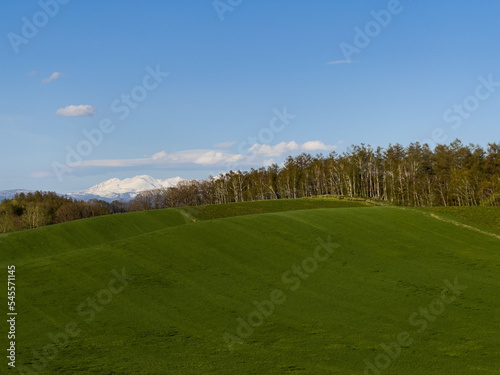 The undulating green land and Daisetsuzan in early spring
