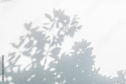Tree shadow and light of leaf branch background. Nature leaves tropical jungle tree branch dark shadows and light from sunlight on wall texture for background wallpaper design, shadow overlay effect