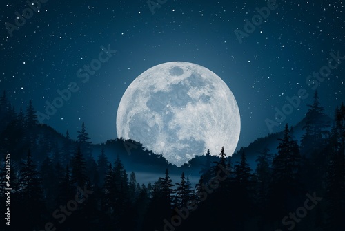 The stars and the full moon on the mountain among the pine forests and mist in the beautiful night.