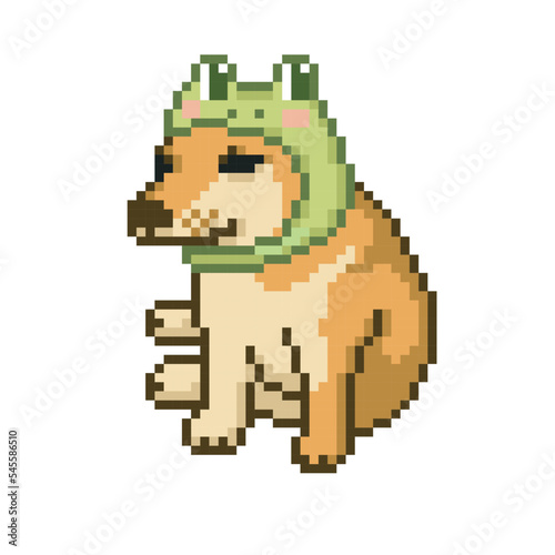 Illustration dog with frog hat, meme pixel art