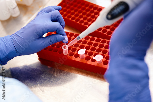 Technician works investigating analysis sample in test tubes photo