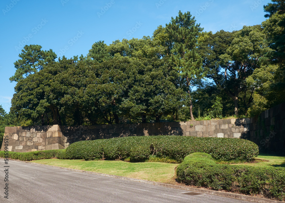 Promenade trail along the stone wall of old Edo castle in the Tokyo Imperial Palace. Tokyo. Japan