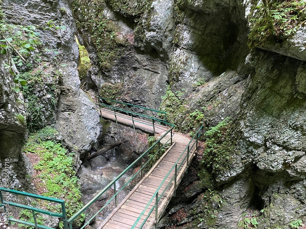 Fototapeta premium Special geomorphological reserve Devil's Pass canyon or Devil's Passage - Croatia (Posebni geomorfološki rezervat Vrazji prolaz ili značajni krajobraz Vražji prolaz, Skrad - Gorski kotar, Hrvatska)