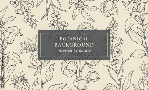 Hand drawn sesame, safflower, canola, cotton background