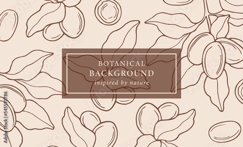Hand drawn shea branch background