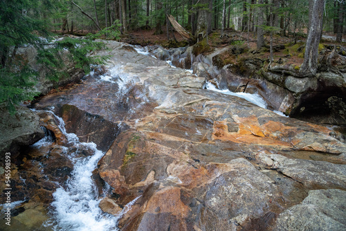 waterfall in the forest