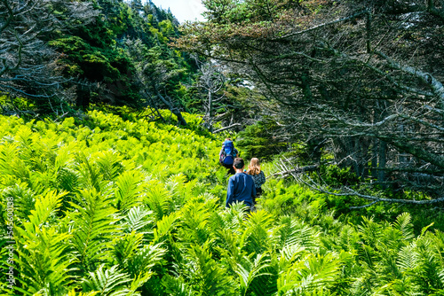 Green garden trail - Gros Morne National Park