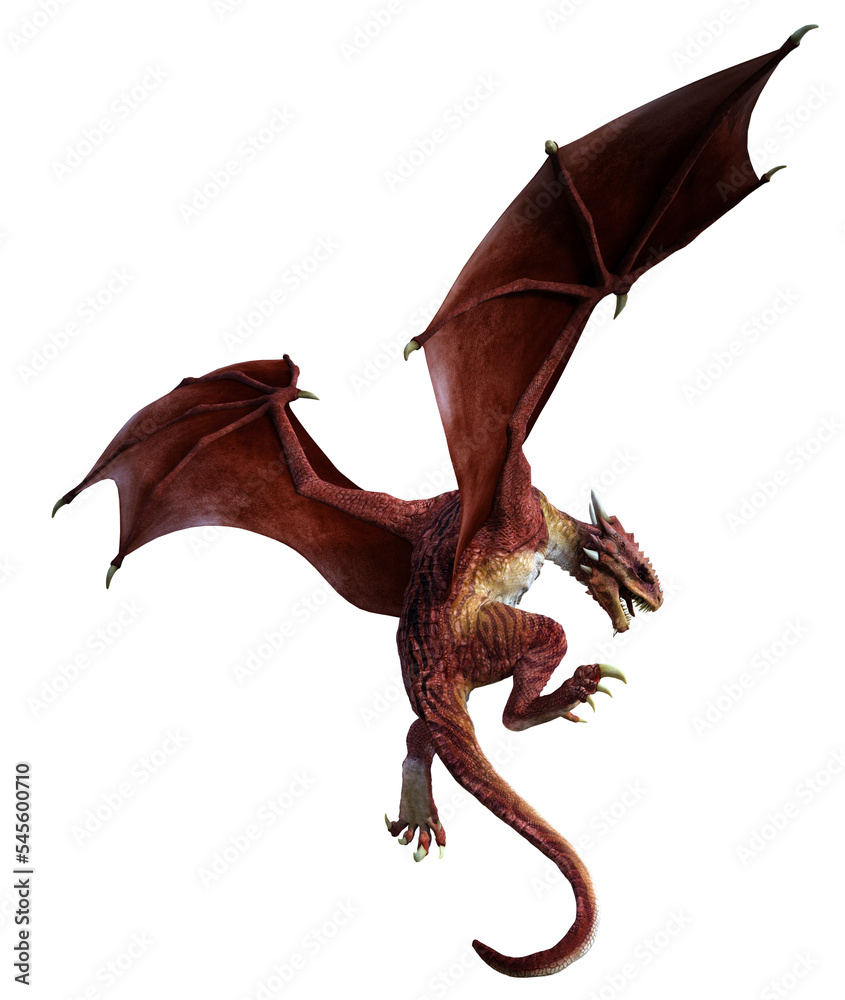 3D Rendered Red Wyvern - A Bipedal Dragon Isolated on Transparent  Background - 3D Illustration Stock Illustration | Adobe Stock
