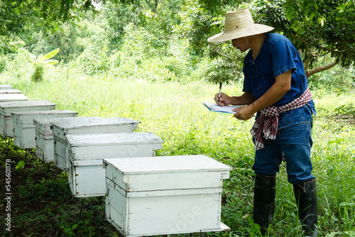 Asian man farmer is surveying and inspecting wooden beekeeping boxes in the orchard for raising bees. Do research to develop quality. Concept , Business beekeeping industry  for honey in orchards.
