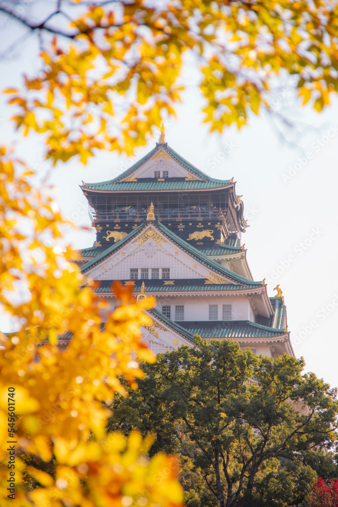 Fototapeta premium osaka castle in autumn