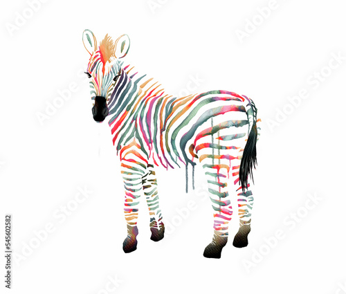 Fancy Zebra with Colorful Stripes