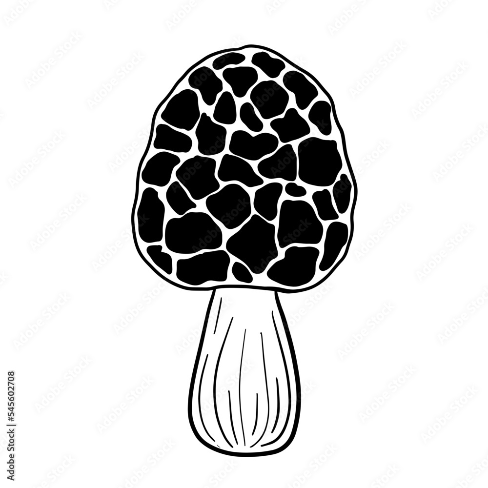 Murshroom outline. Vector Fairytale murshroom in black and white doodle style. Design for a botanic, alchemy, tattoo, magic, witchcraft, tarot cards. Murshroom outline. Vector Fairytale murshroom in black and white doodle style. Design for a botanic, alchemy, tattoo, magic, witchcraft, tarot cards.