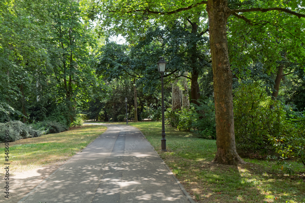 Alley in the park in summer. Alley in the park in summer.