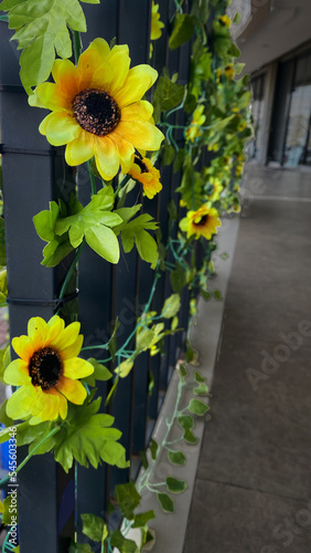 sunflower replica attached to the iron fence for vintage background