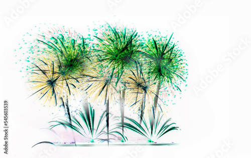 Illustration - Fireworks illustration white back