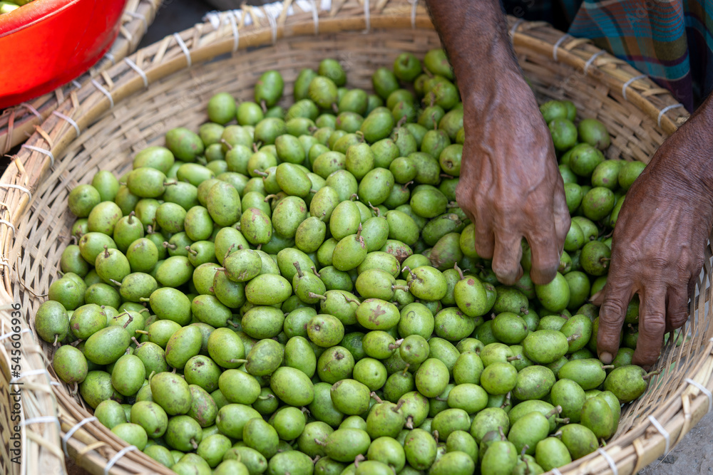 Sorting olive Green olives 09-11-2022