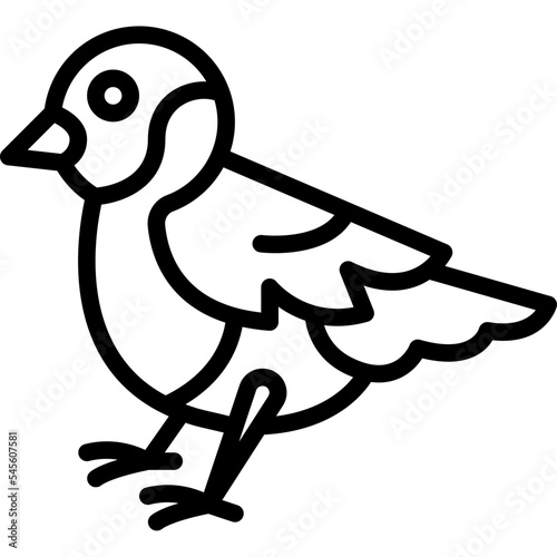 bullfinch bird line icon
