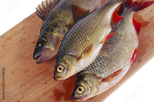 Fototapeta Naklejka Na Ścianę i Meble -  Rudd fish and perch on a cutting board.