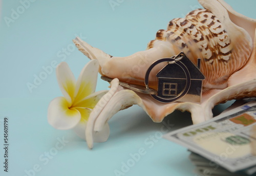 A shell, a pack of American dollars and a key with a house keychain. Concept: buying real estate on the sea coast, renting a house on the beach, mortgage loan. © ShU studio