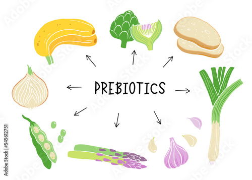 Prebiotic products, sources of these bacteria, nutrient rich food. Flat vector illustration of soy beans asparagus onion banana garlic artichoke