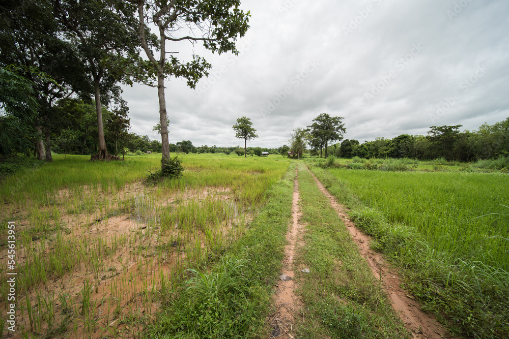 beautiful scenery in northeast thailand beautiful scenery in northeast thailand
