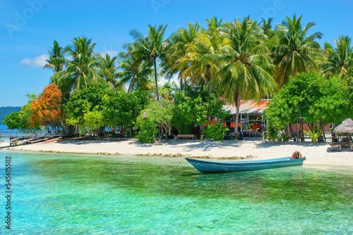 Beautiful summer scene on the beach with palm trees - Arborek Island, Raja Ampat, West Papua, Indonesia © Tunatura