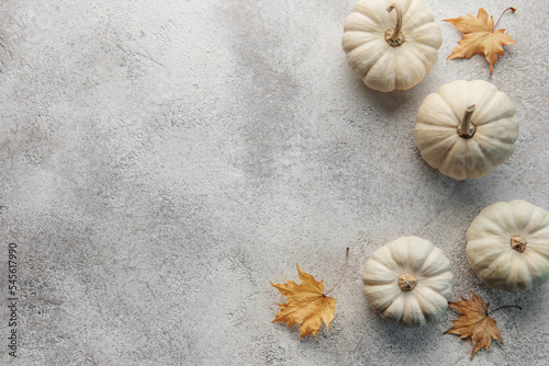 Thanksgiving or harvest flatlay with pumpkins on grey concrete background.