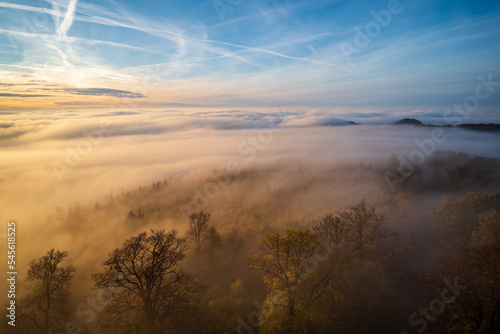 Wald im Herbst unter Nebelfetzen © Dirk