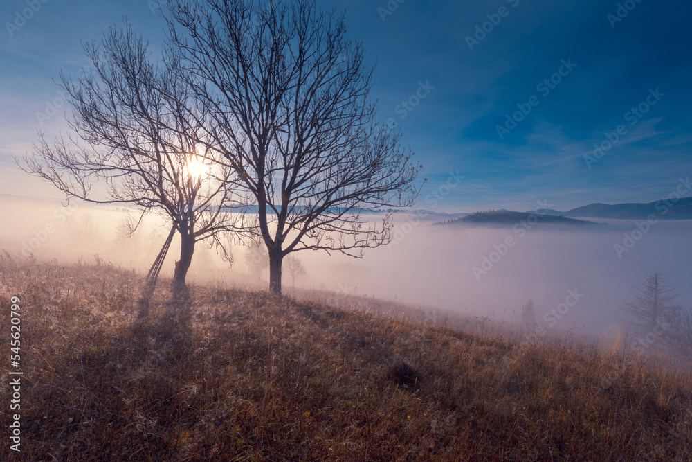 Gorgeouis morning scenery. Foggy mountains with sunlight through the tree branches on the hill.