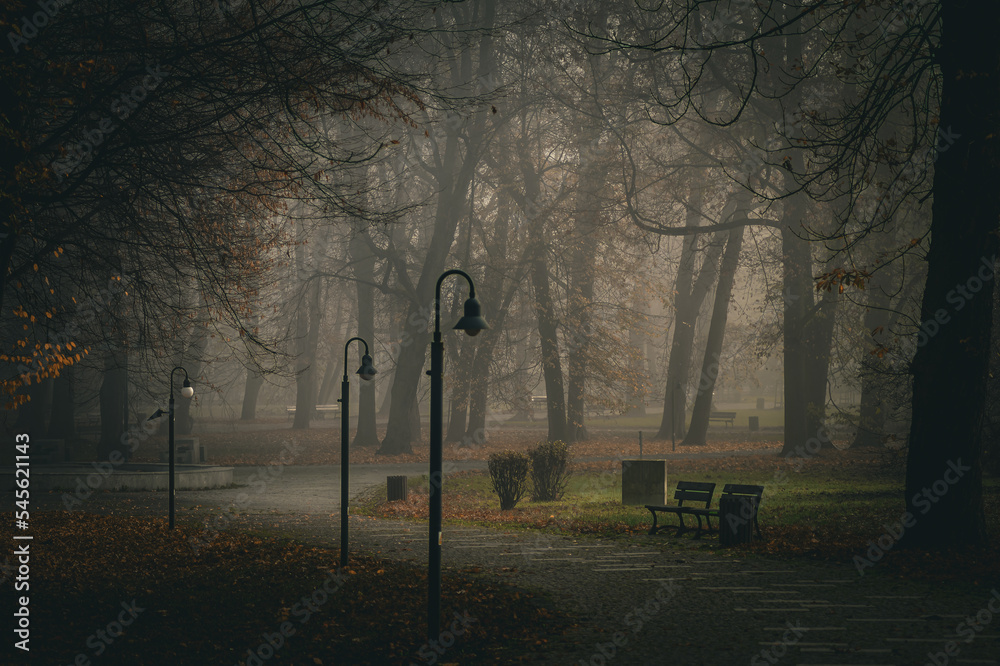 A dark park where there are no people and is empty, a strong vignette that adds charm to the photo - obrazy, fototapety, plakaty 