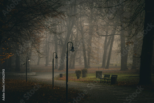 Fototapeta Naklejka Na Ścianę i Meble -  A dark park where there are no people and is empty, a strong vignette that adds charm to the photo
