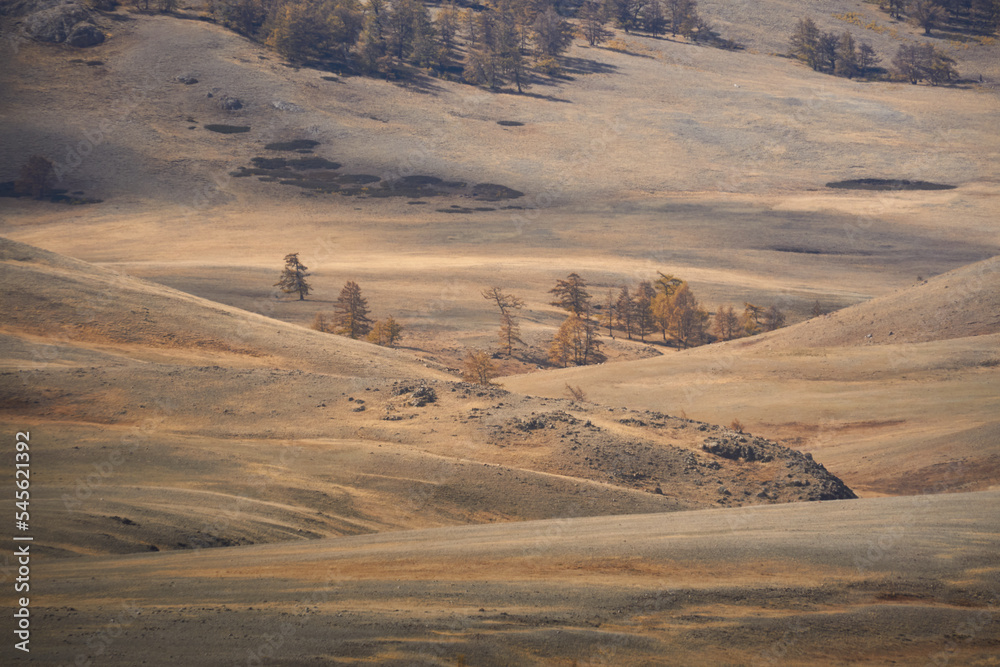 Autumn landscape with larches. Altai