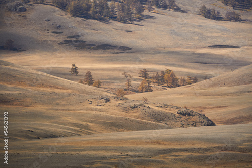 Obraz na płótnie Autumn landscape with larches. Altai w salonie