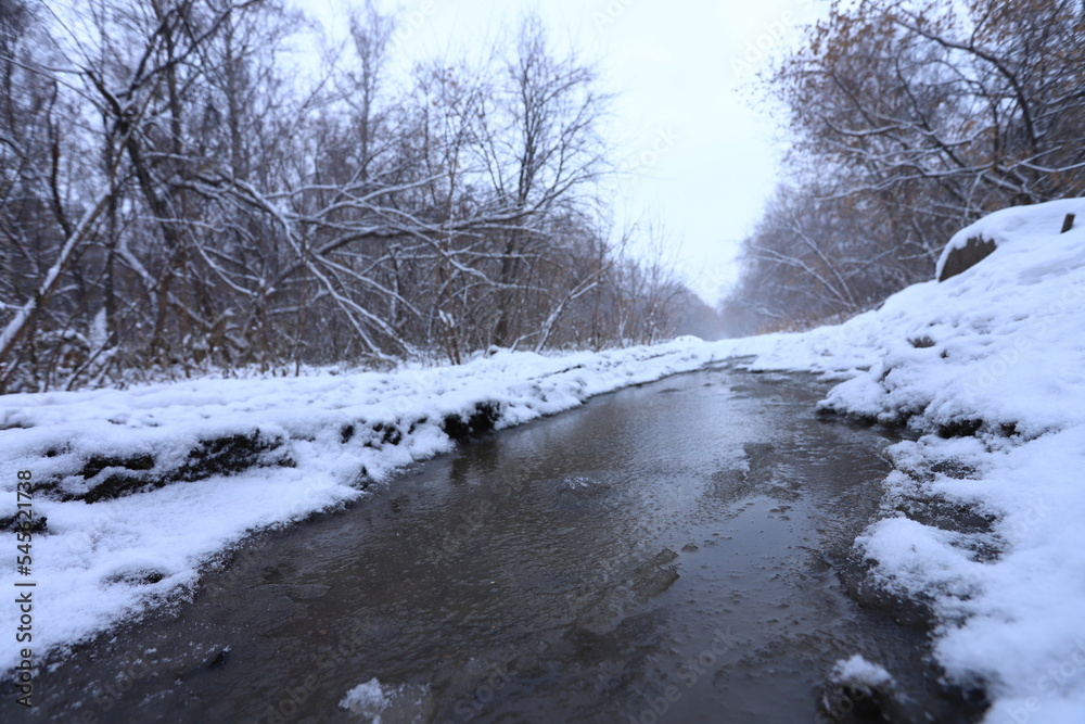 Winter scene. Snowy day in the forest. Winter scene. Snowy day in the forest.