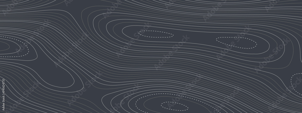 The stylized colorful abstract topographic map with lines and circles background. Topography gradient linear background with copy space. Vector illustration. The stylized colorful abstract topographic map with lines and circles background. Topography gradient linear background with copy space. Vector illustration.