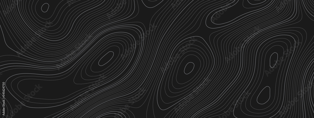 The stylized black and white abstract topographic map with lines and circles background. Topography gradient linear background with copy space. Vector illustration.