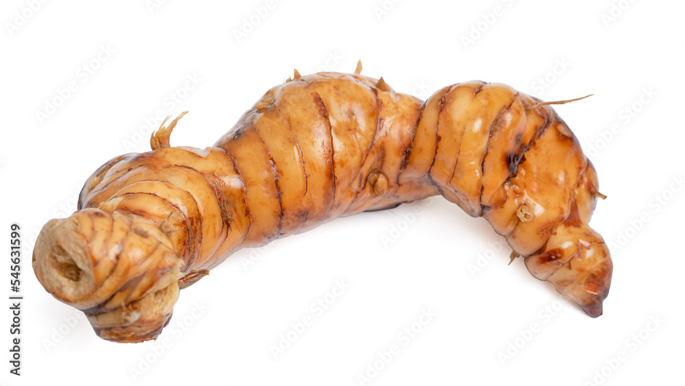 Fresh galangal (Alpinia galanga) rhizomes on white background. Fresh galangal (Alpinia galanga) rhizomes on white background.