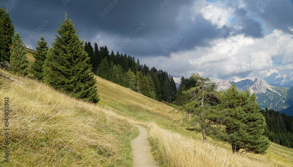 onderful and idyllic hiking trail in the dolomites. Awesome path for hiking and enyoing nature. Blue sky, green meadow. Alp di Siusi, Dolomites, Italy	