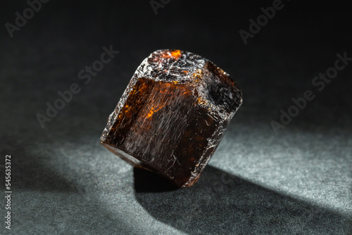 Brown Dravite Tourmaline Crystal Back Lit on Black