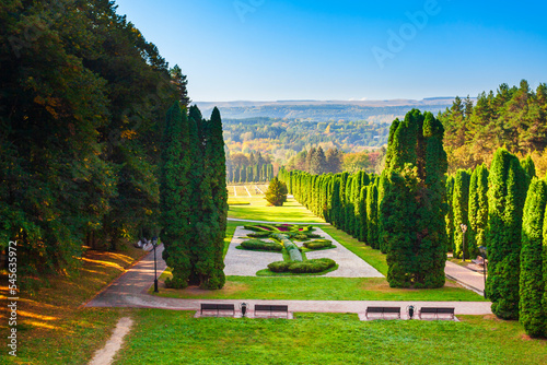 Fototapeta Naklejka Na Ścianę i Meble -  Rose garden in Kislovodsk National Park