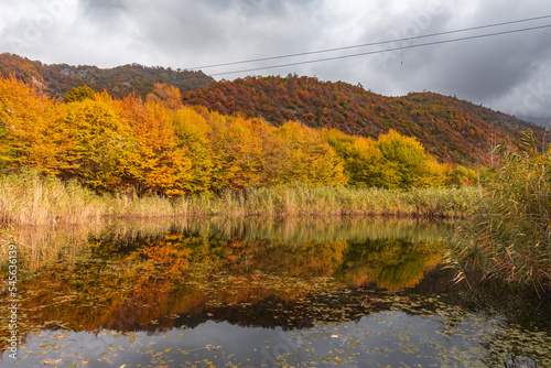 Small pond in autumn season