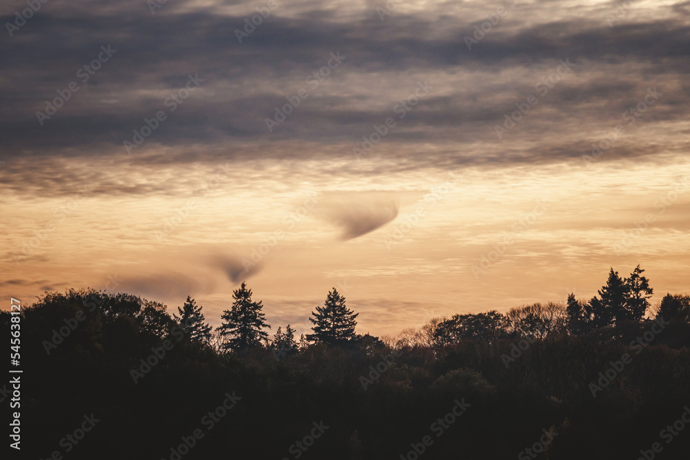 Interessante Wolken über Nadelwald im Sonnenuntergang