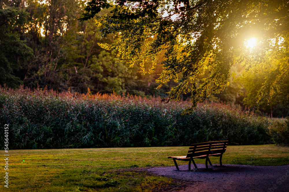Peaceful scene in the park, an empty bench with nobody set face to the green wooded lawns under sunlight or sunset light through the trees. 