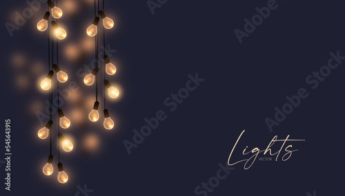 Soft light garland background with blur effect. Christmas lights