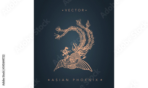 Asian traditional phoenix pattern ancient Chinese phoenix