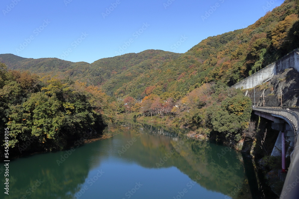 埼玉の風景 埼玉の風景