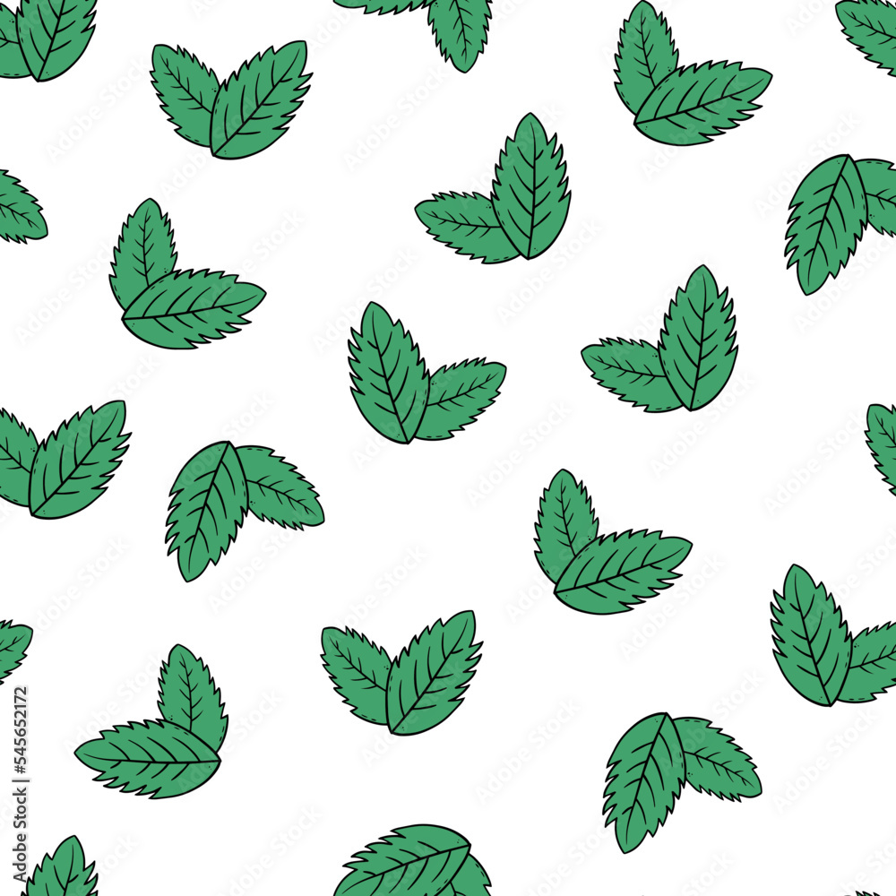 Mint leaves pattern. Hand-drawing doodle style.