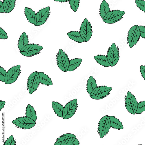 Mint leaves pattern. Hand-drawing doodle style. © Regina